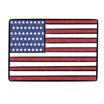 America National flag