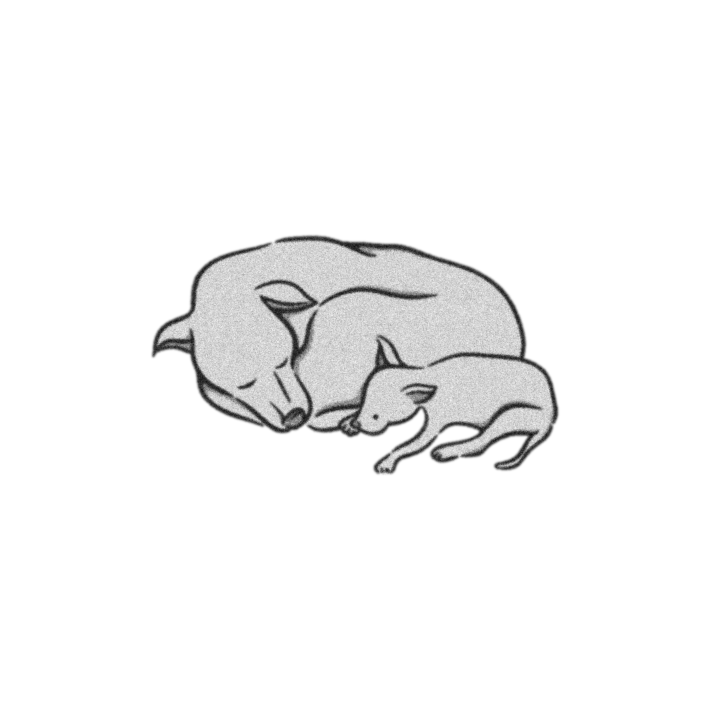 犬_inタイ